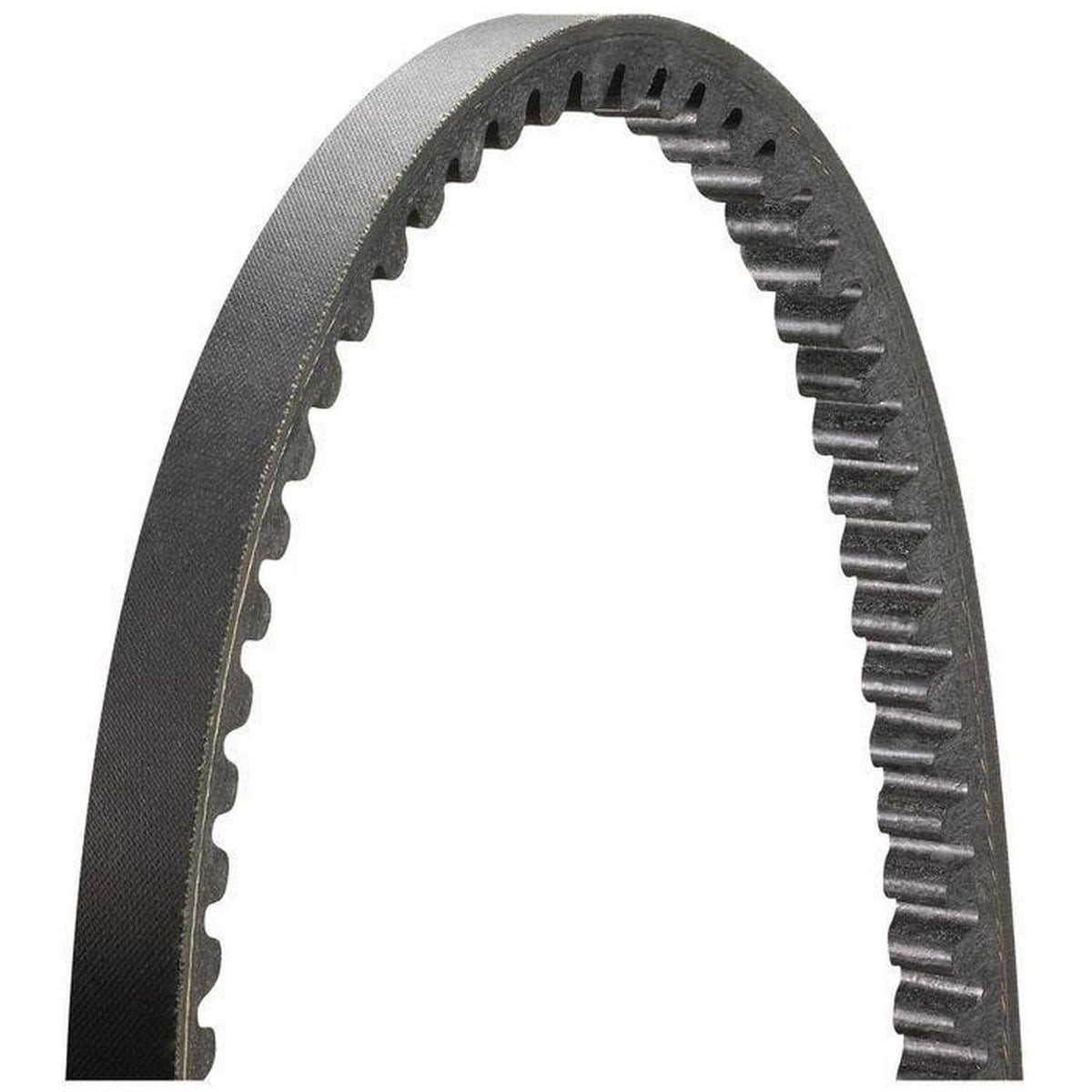 ACDelco Gold 35 63/64in Accessory Drive Belt 15360 (1/3)