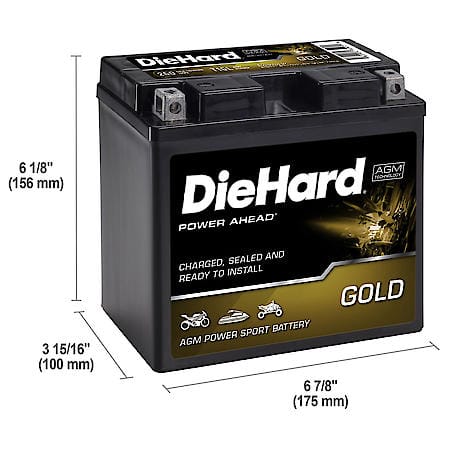 Battery: T16L Group Size, 260 CCA, 19 Amp Hour Capacity