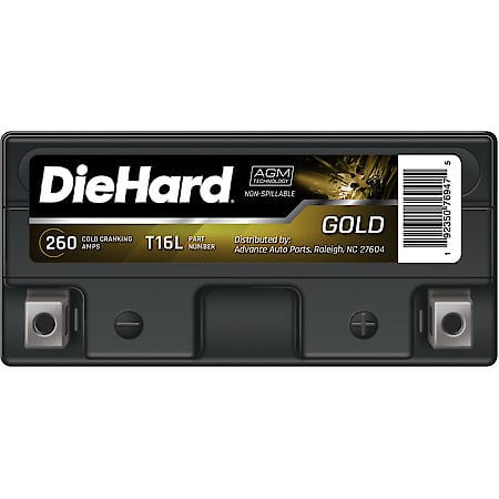 Battery: T16L Group Size, 260 CCA, 19 Amp Hour Capacity