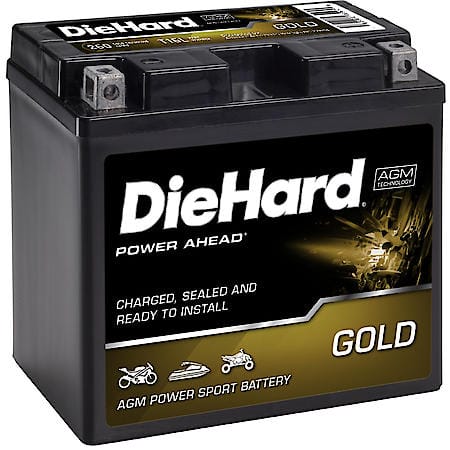 Battery: T16L Group Size, 260 CCA, 19 Amp Hour Capacity