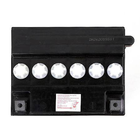 Power Sport Battery 12V Battery: B30L-B Group Size, 300 CCA, 330 CA