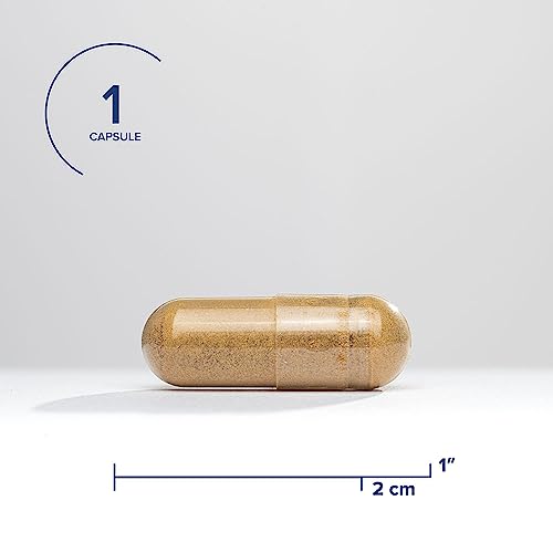 Seeking Health Ashwagandha Extract, Potent 467 mg Natural Ashwagandha with 5% Withanolide, Supports Balanced Mood, Focus, and Sleep, Vegan and Vegetarian (60 Capsules)*