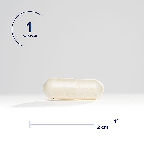 Seeking Health ProBiota Bifidobacterium, 60 Capsules, Probiotic Supplement for Digestive Health, Bifido Only, Vegan- and Vegetarian-Friendly, Supports Colon Health and Immune System*