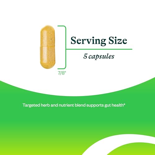 Optimal GI | Glutamine-Free Supplement | Digestive and Gastrointestinal Support | Seeking Health (150 Capsules) | 30 Servings
