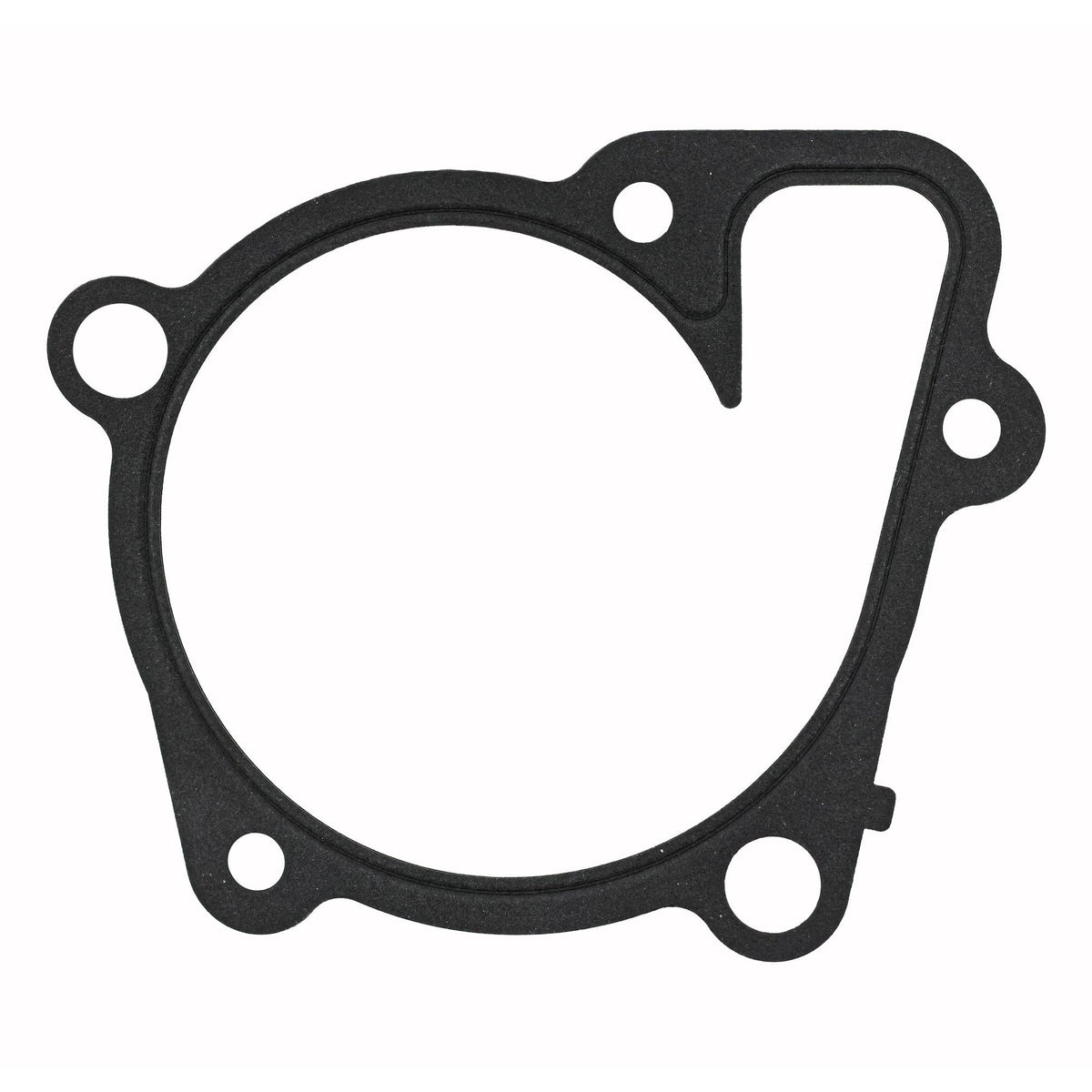 FEL-PRO Engine Water Pump Gasket 36191 (1/1)