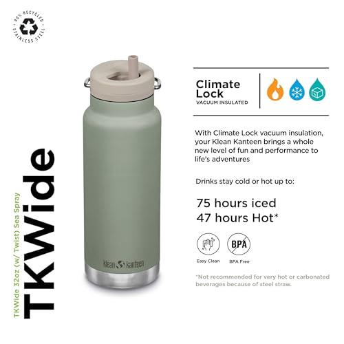 Klean Kanteen 32oz TKWide Insulated Water Bottle with Twist Cap - Sea Spray