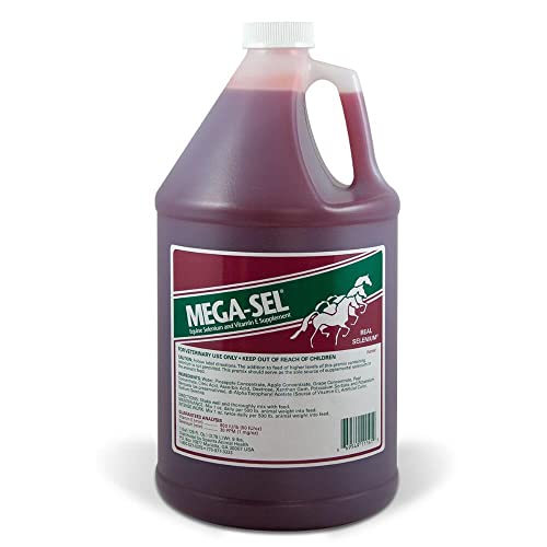 Mega-Sel Liquid Formula for Horses, 1 Gallon (128 Fl oz)