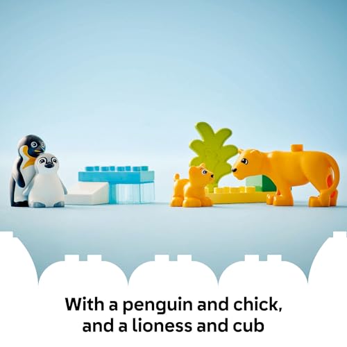 LEGO DUPLO Town Wild Animal Families Penguins & Lions Building Toy Playset - Preschool Learning & Educational Animal Toy for Toddlers, Boys and Girls, Ages 2+ - Baby Gift Ideas - 10442