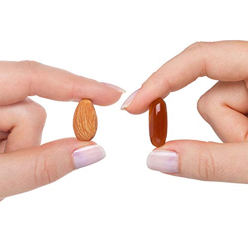 Seeking Health Optimal PC, 800 mcg Blended Phospholipid Complex, Made from Non-GMO Sunflower Lecithin, Supports Healthy Brain Function, Natural Energy Support (100 softgels)