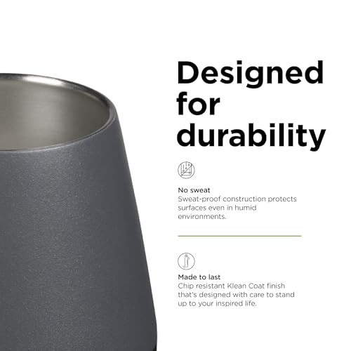 Klean Kanteen 10oz Rise Wine Tumbler - Stainless Steel - Asphalt