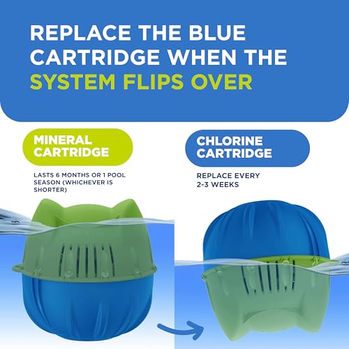 FROG Replacement Chlorine Cartridges for use with Flippin FROG Floating Sanitizer System - Prefilled Cartridges Support Easy Pool Maintenance and Cleaner & Clearer Water - 4 Pack