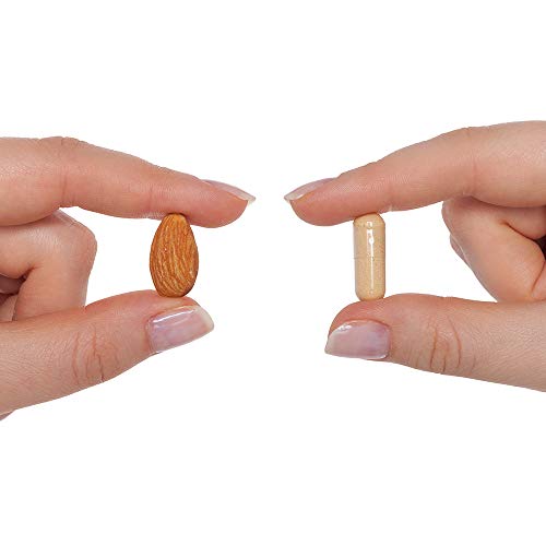 Seeking Health Prenatal Essentials Methyl-Free, Folate, Vitamin B12, Methylation Support, Multivitamin to Support Fertility, Conception, Pregnancy and Breastfeeding, Vegetarian (60 Capsules)