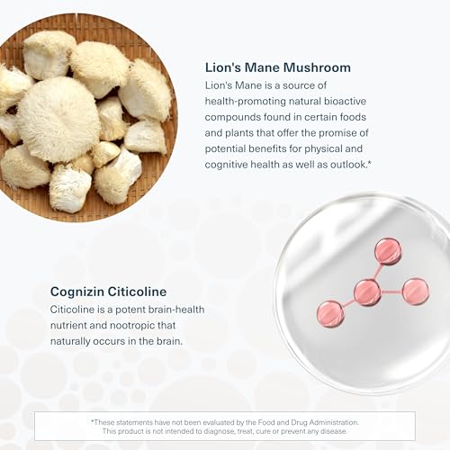 Youtheory Lion's Mane Plus - Mushroom Supplement with Cognizin - Offers Focus & Brain Support* - 60 Vegetarian Capsules
