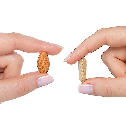 Seeking Health Optimal Multivitamin Plus, Active B Vitamins and L-5-MTHF, Riboflavin, B6, Bioavailable Folate and B12, CoQ10, Methylation Support, Vegetarian (240 Capsules)