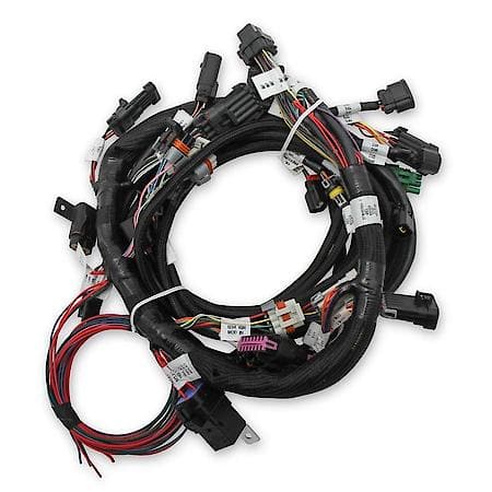 MAIN HARNESS; FORD COYOTE TI-VCT