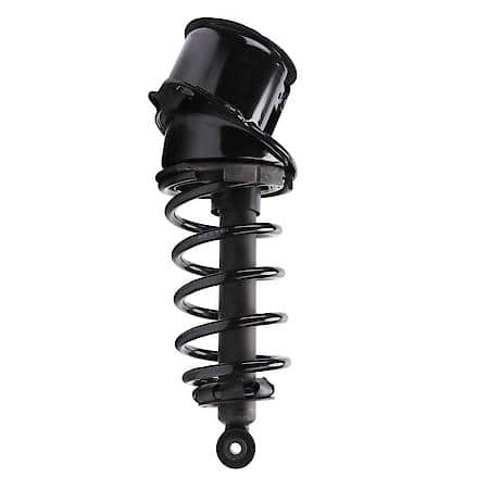 Suspension Strut and Coil Spring Assembly