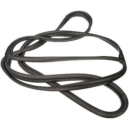 Windshield Seal