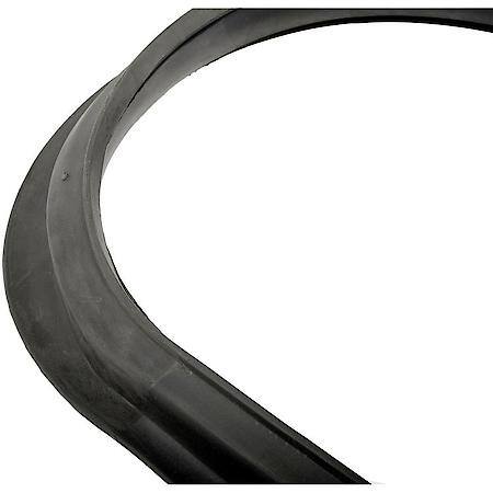 Windshield Seal