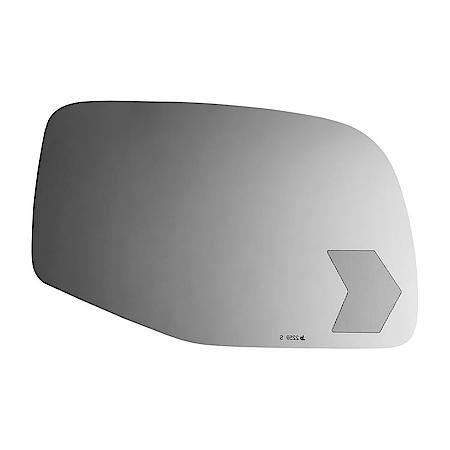 Side View Mirror with Signal