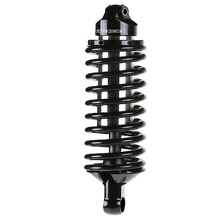 Non Adjustable, Single Flat End Coil Spring, SS, Black, Set Of 2