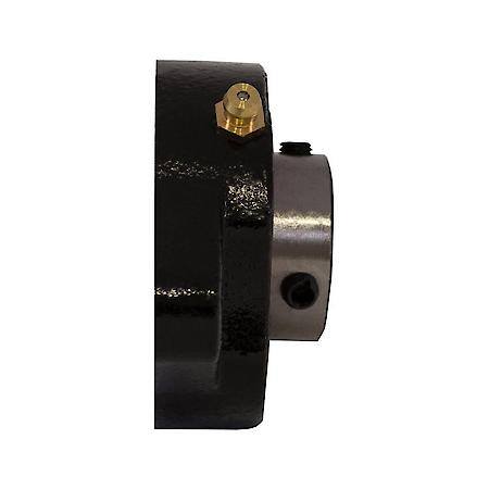 Replacement 2-Hole 1 Inch Flanged Cast Bearing