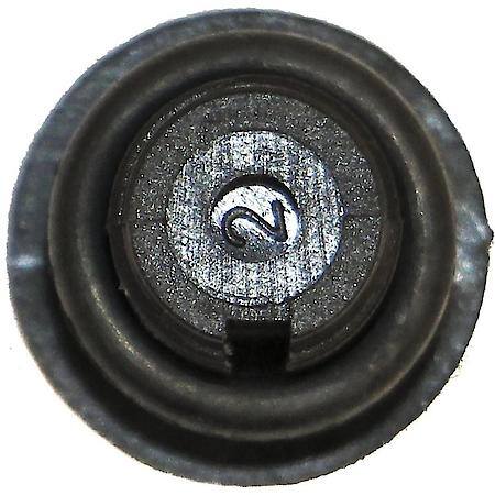 Bleeder Screw