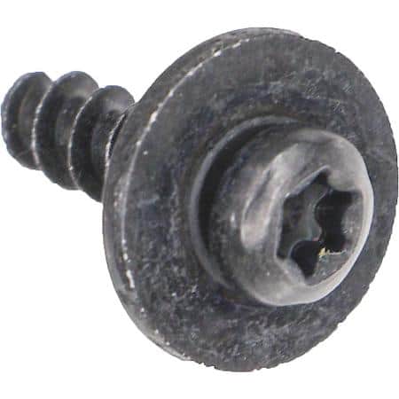 Torx Screw