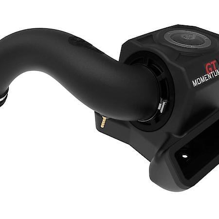 Momentum GT Cold Air Intake System with Pro DRY S Filter