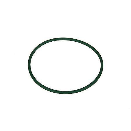 Fuel Pump Lock Ring, Comes With Viton O-Ring
