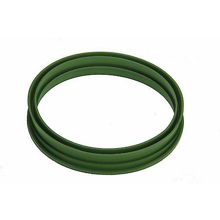 Fuel Tank Pump Seal