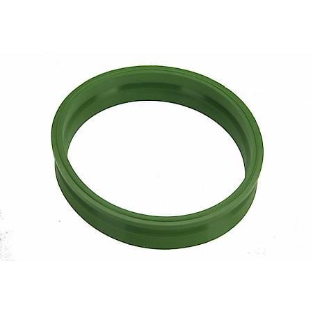 Fuel Tank Pump Seal