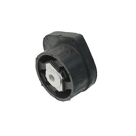 Transfer Case Mount