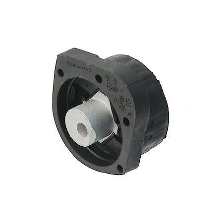 Transfer Case Mount