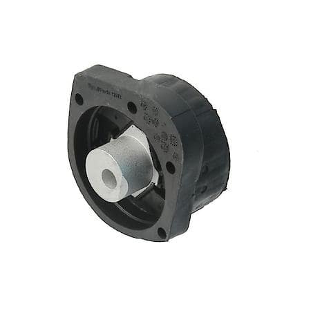 Transfer Case Mount