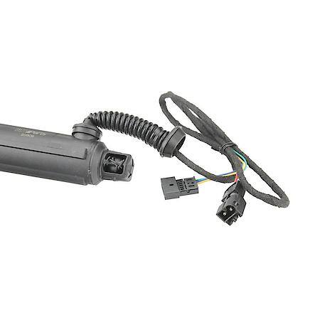 Tailgate Strut, Left