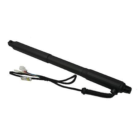 Tailgate Strut, Right