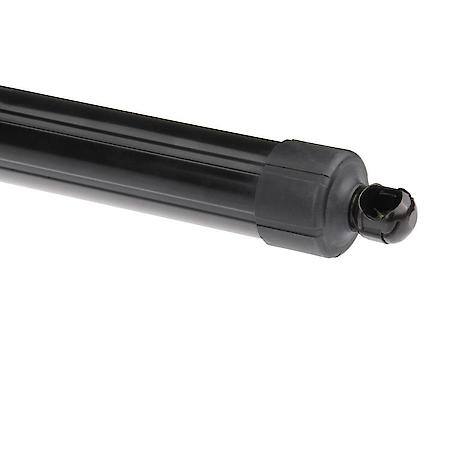 Tailgate Strut, Rear