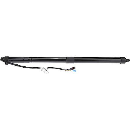 Tailgate Strut, Rear