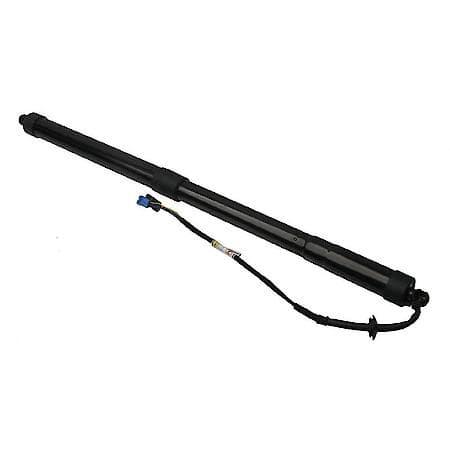 Tailgate Strut, Rear