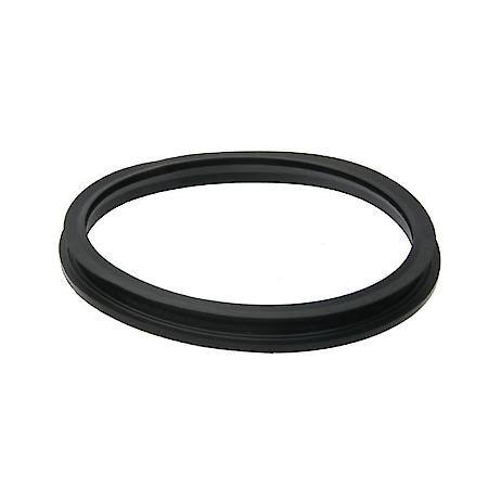Fuel Pump Tank Seal