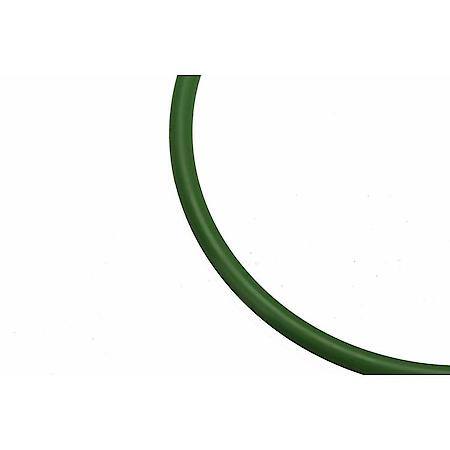 Fuel Pump Tank Seal