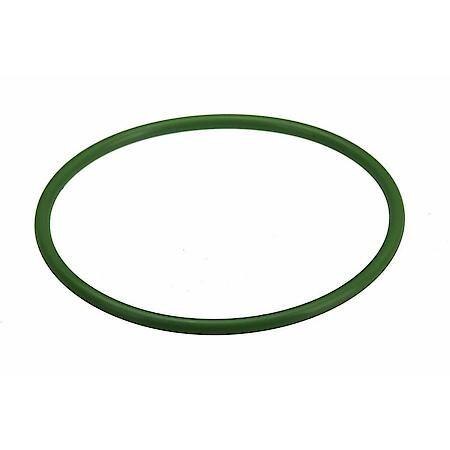 Fuel Pump Tank Seal