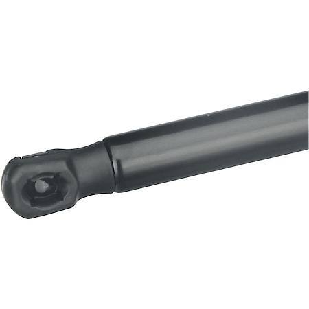 Hood Lift Support