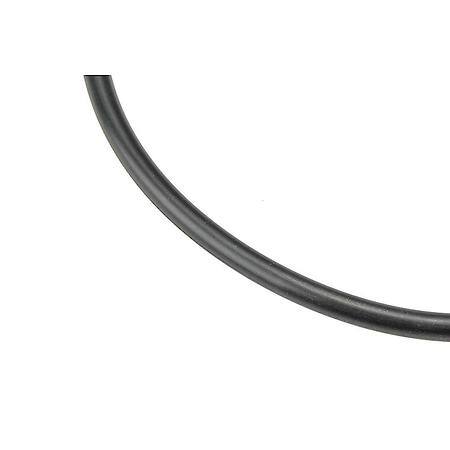 Fuel Tank Pump Seal
