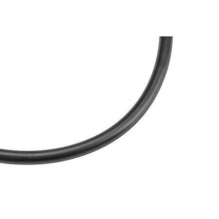 Fuel Tank Pump Seal