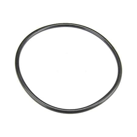 Fuel Tank Pump Seal