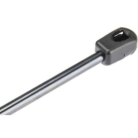 Trunk Strut