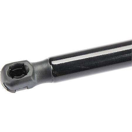 Trunk Strut