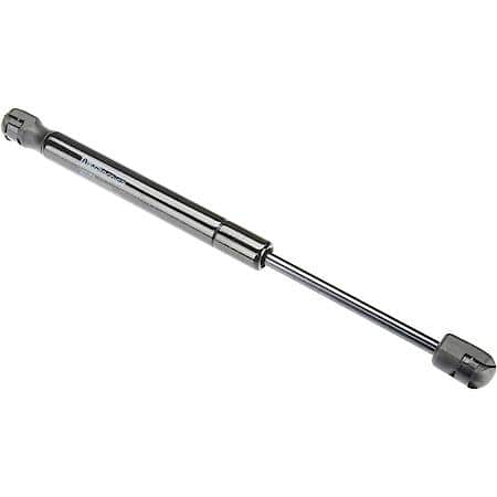 Trunk Strut