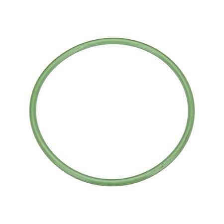 Fuel Pump O-Ring, Fkm; 148Mm Od X 6Mm